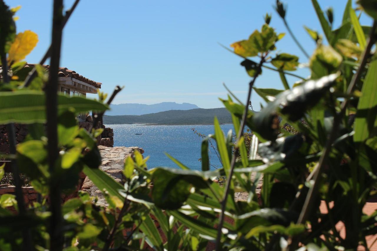 Appartamento A Porto Rotondo - Villaggio Punta Volpe - Iun S5393 Zewnętrze zdjęcie