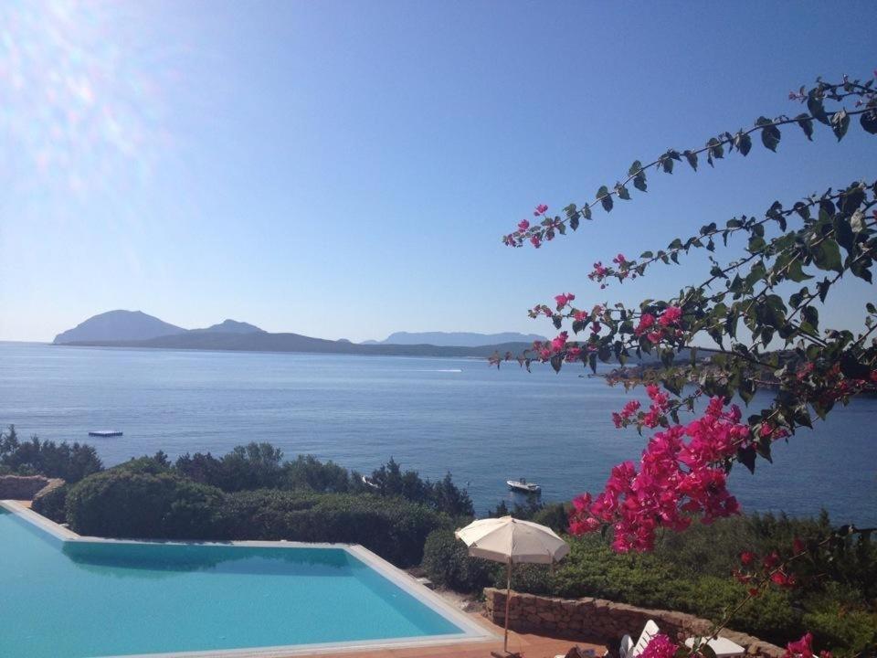 Appartamento A Porto Rotondo - Villaggio Punta Volpe - Iun S5393 Zewnętrze zdjęcie
