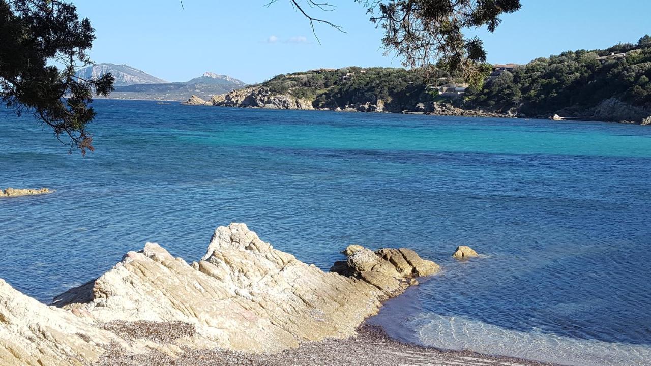 Appartamento A Porto Rotondo - Villaggio Punta Volpe - Iun S5393 Zewnętrze zdjęcie